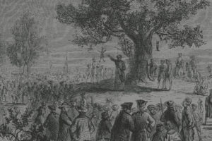 Colonists under the Liberty Tree