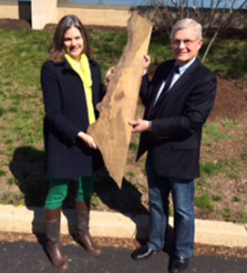 Liberty Tree Wood at Museum of American Revolution by Providence Forum