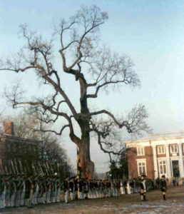 MD Liberty Tree-History-Story